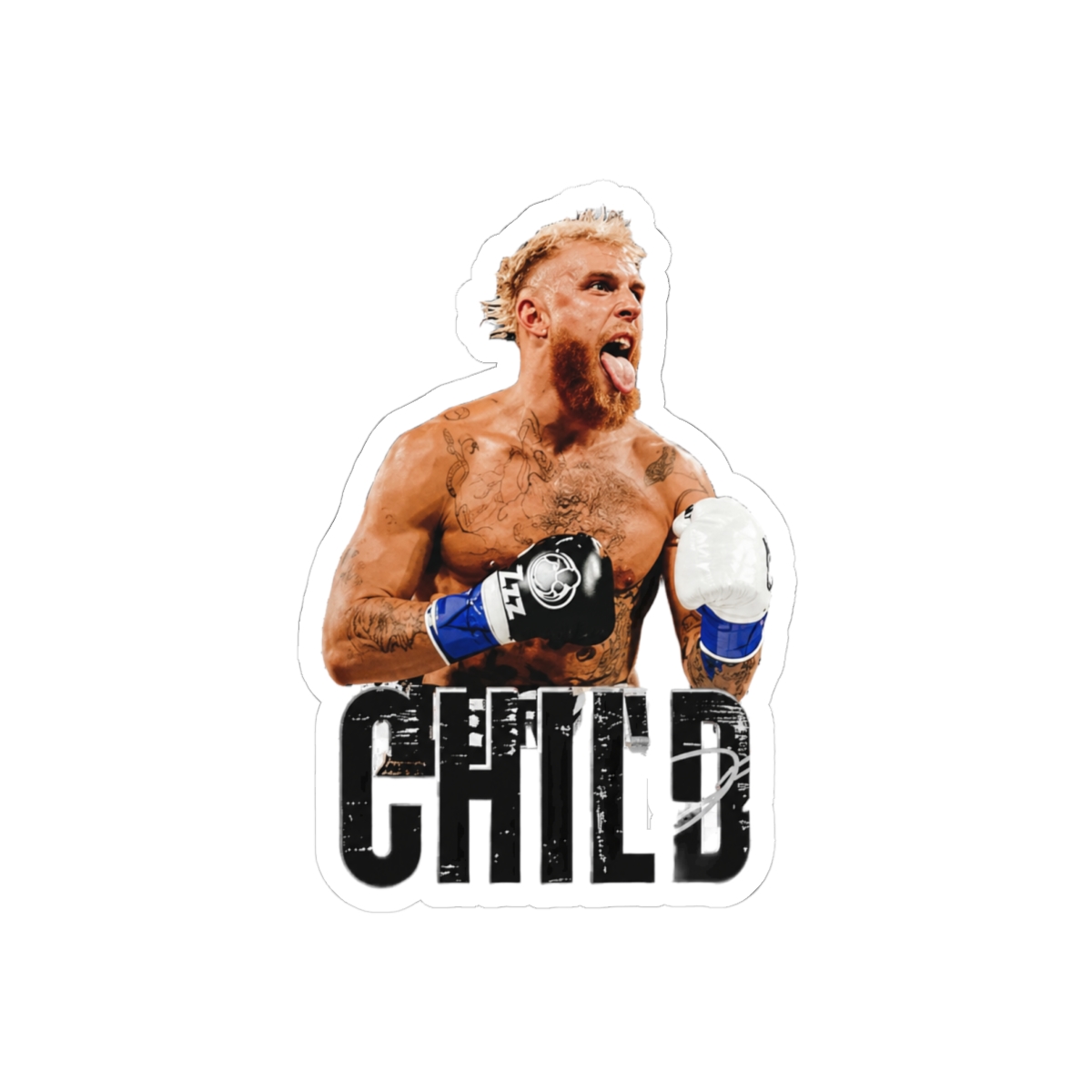 Jake Paul The Problem Child Signature